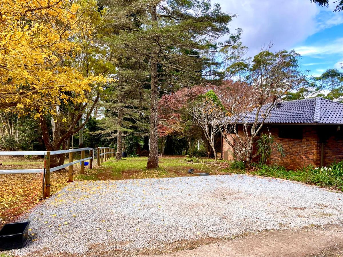 Tamborine Mountain Lodge - B&B