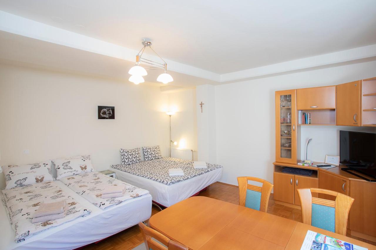 Studio with Sofa Bed