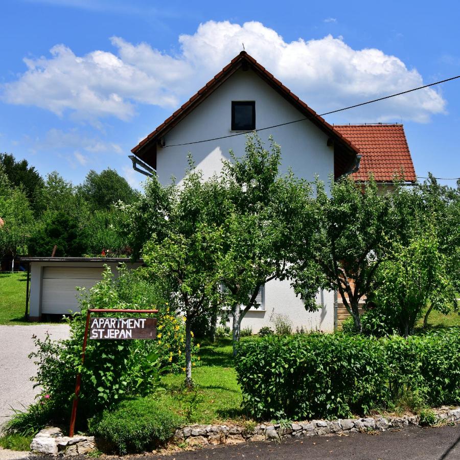 Apartment Stjepan - Ferienwohnung Rakovica