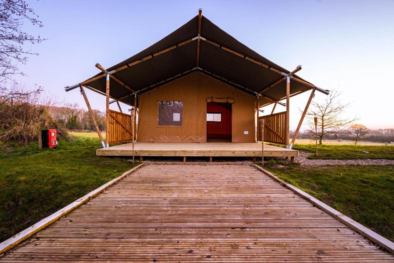 B&B Wrexham - Arcadia Safari Tent in private 5 acre field - Bed and Breakfast Wrexham