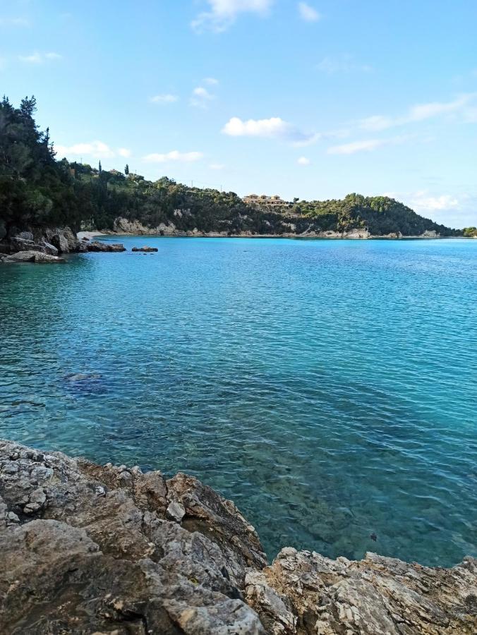 Dimitri's Seaview Studio - Lakka Paxos - B&B