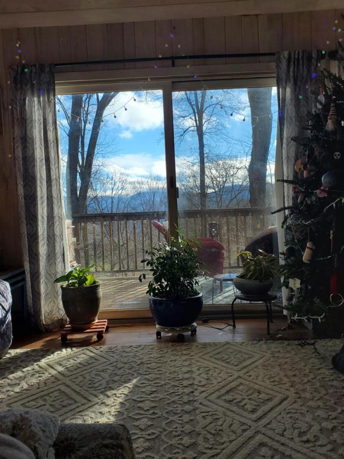 Treehouse Cathedral in Blue Ridge Mountains, NC - B&B Burnsville