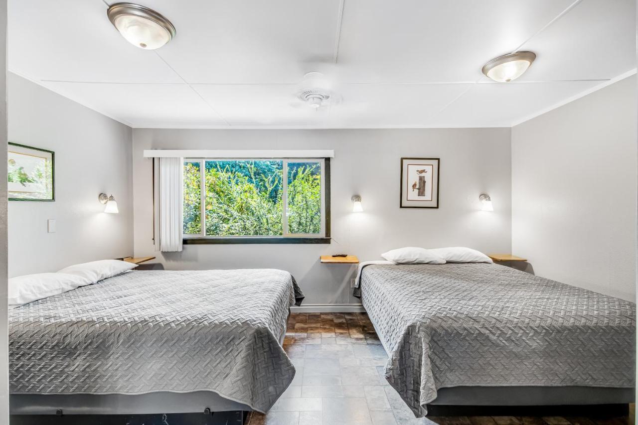 Mount Ellinor, Room 11 at Mount Walker Inn - B&B
