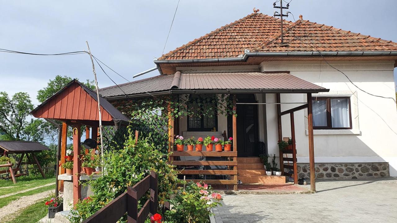 B&B Galeșu - Cazare la fermă - Bed and Breakfast Galeșu