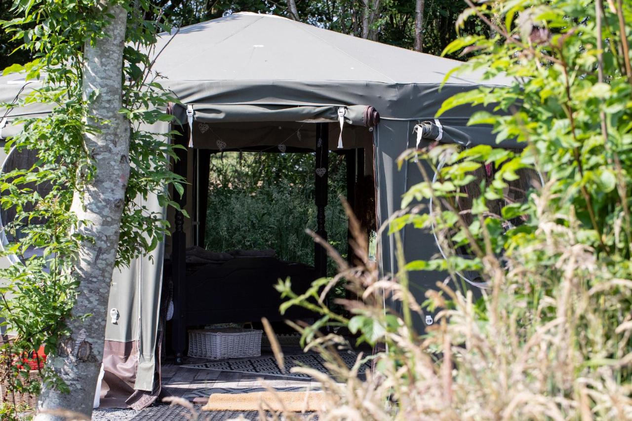 Doppelzimmer mit Parkblick