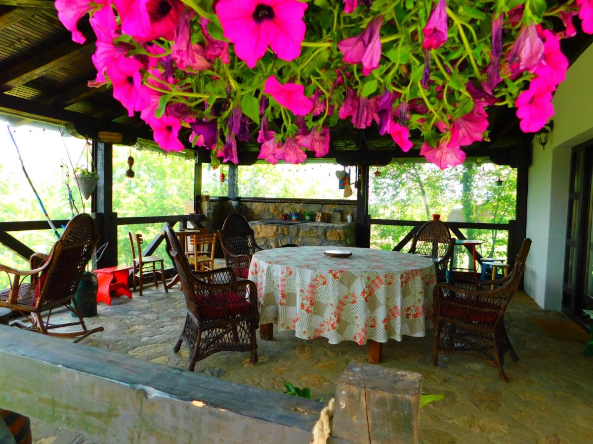 Bas u inat babarogama - B&B