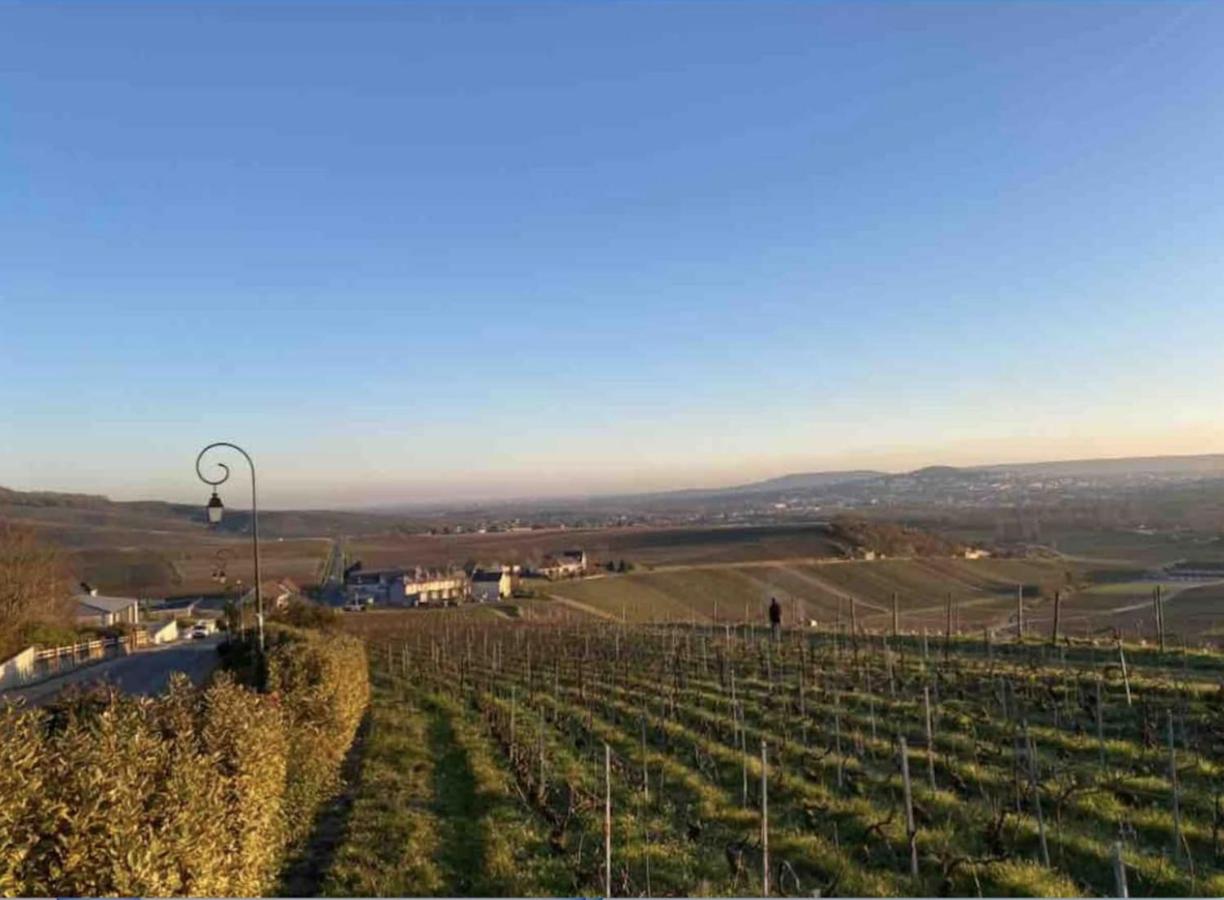 Le Petit Cesar - B&B Hautvillers