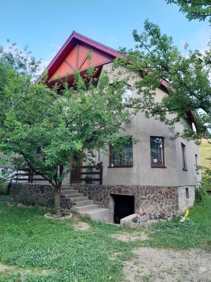 B&B Kelechyn - Затишна оселя - Bed and Breakfast Kelechyn