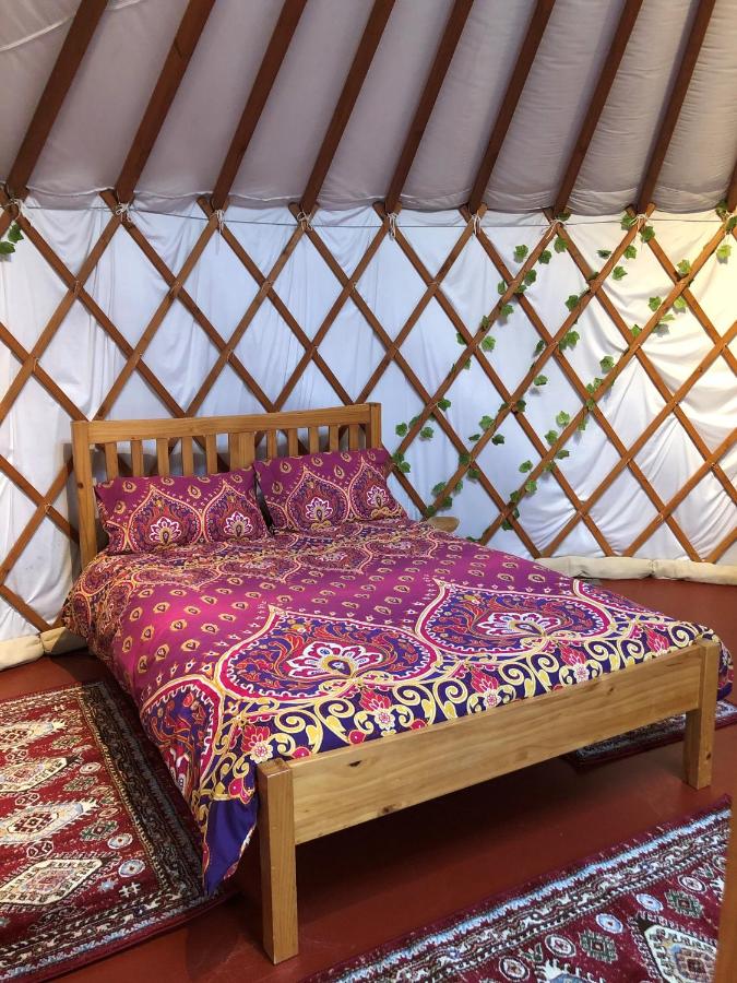 B&B Newport - The Yurts at Burnt House Farm - Bed and Breakfast Newport