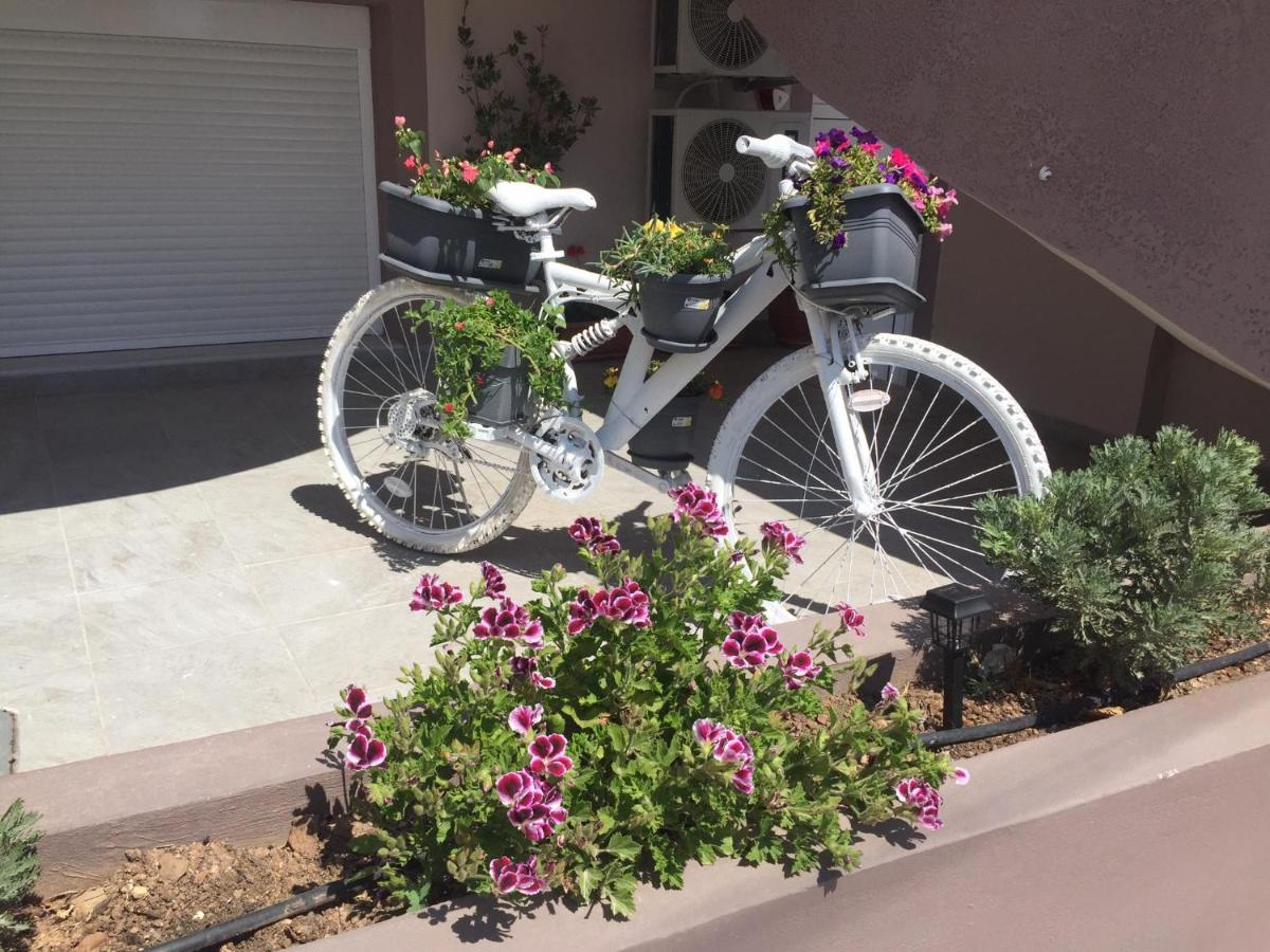 Comfort House Mimosa 2 - B&B Palaiókastron