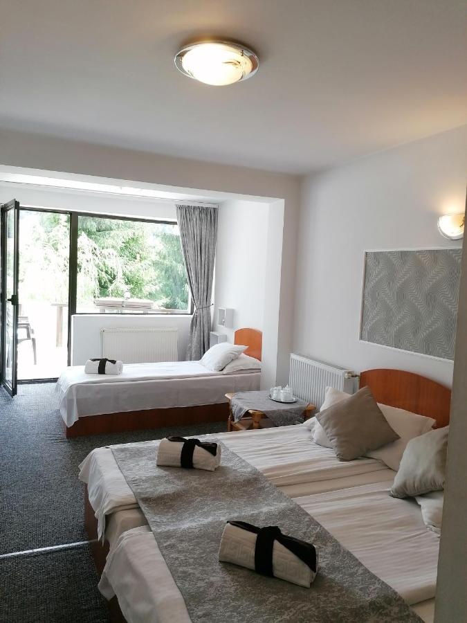 Triple Room with Mountain View