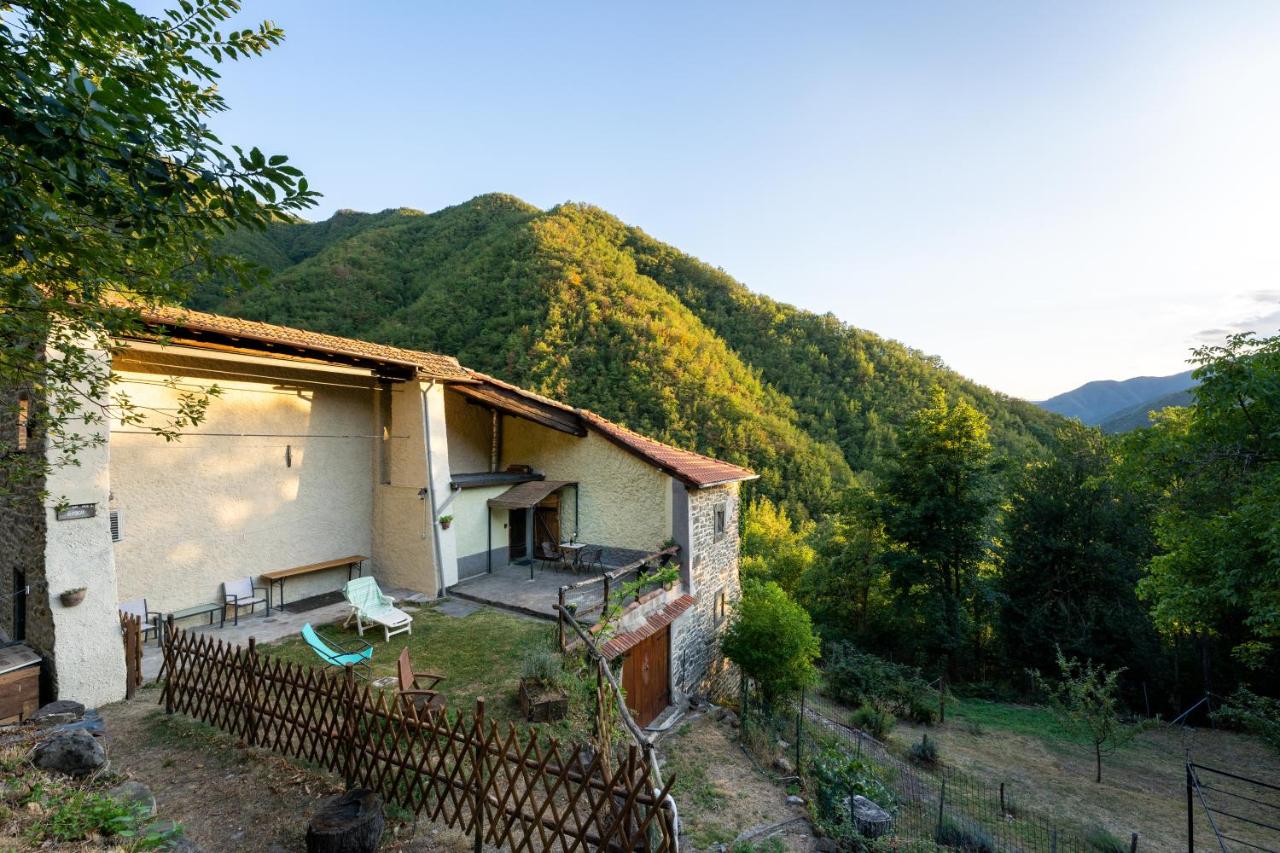 La casa nel bosco-senza auto - B&B