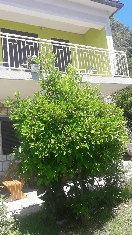 Apartment Dragone - B&B Ulcinj