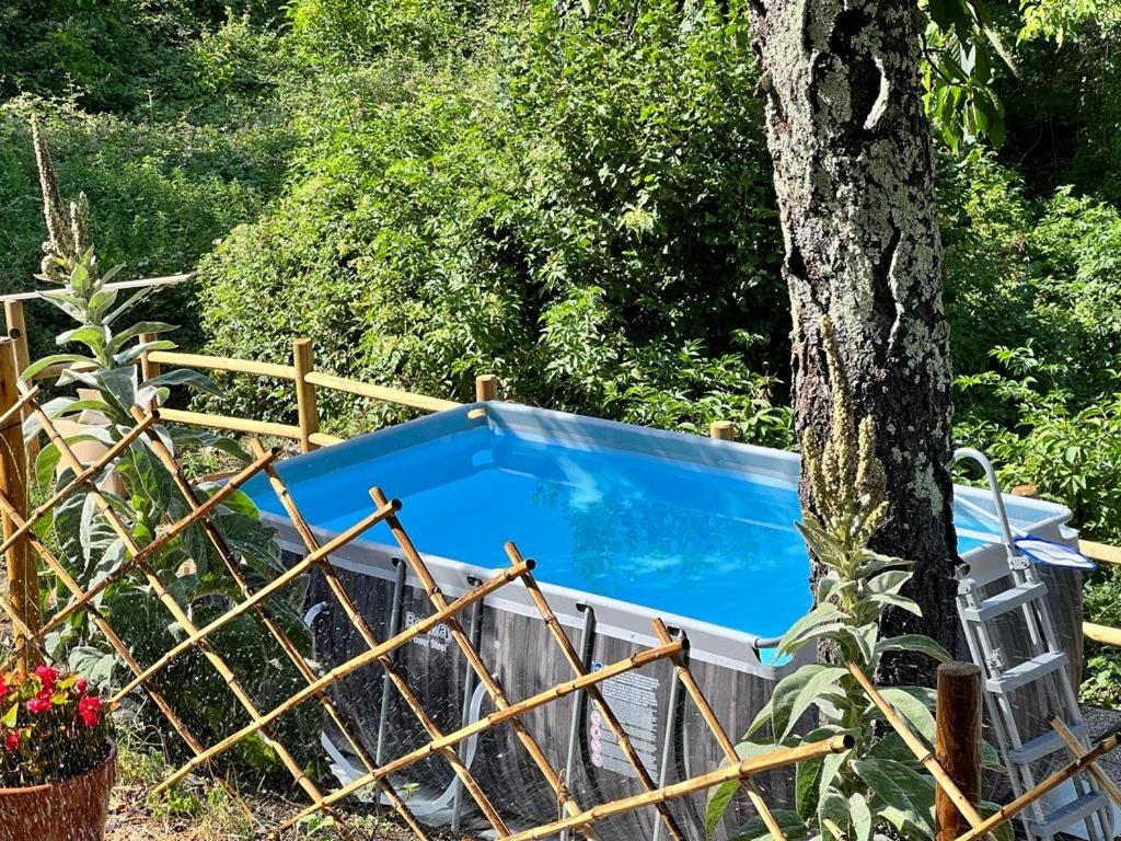 THE DORMOUSE - Il Ghiro - B&B Reusa