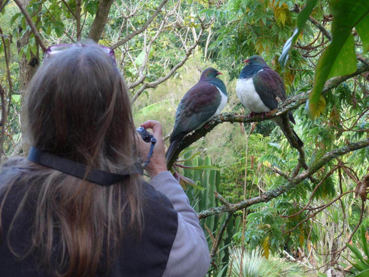 B&B Kerikeri - Wharepuke Subtropical Accommodation - Bed and Breakfast Kerikeri