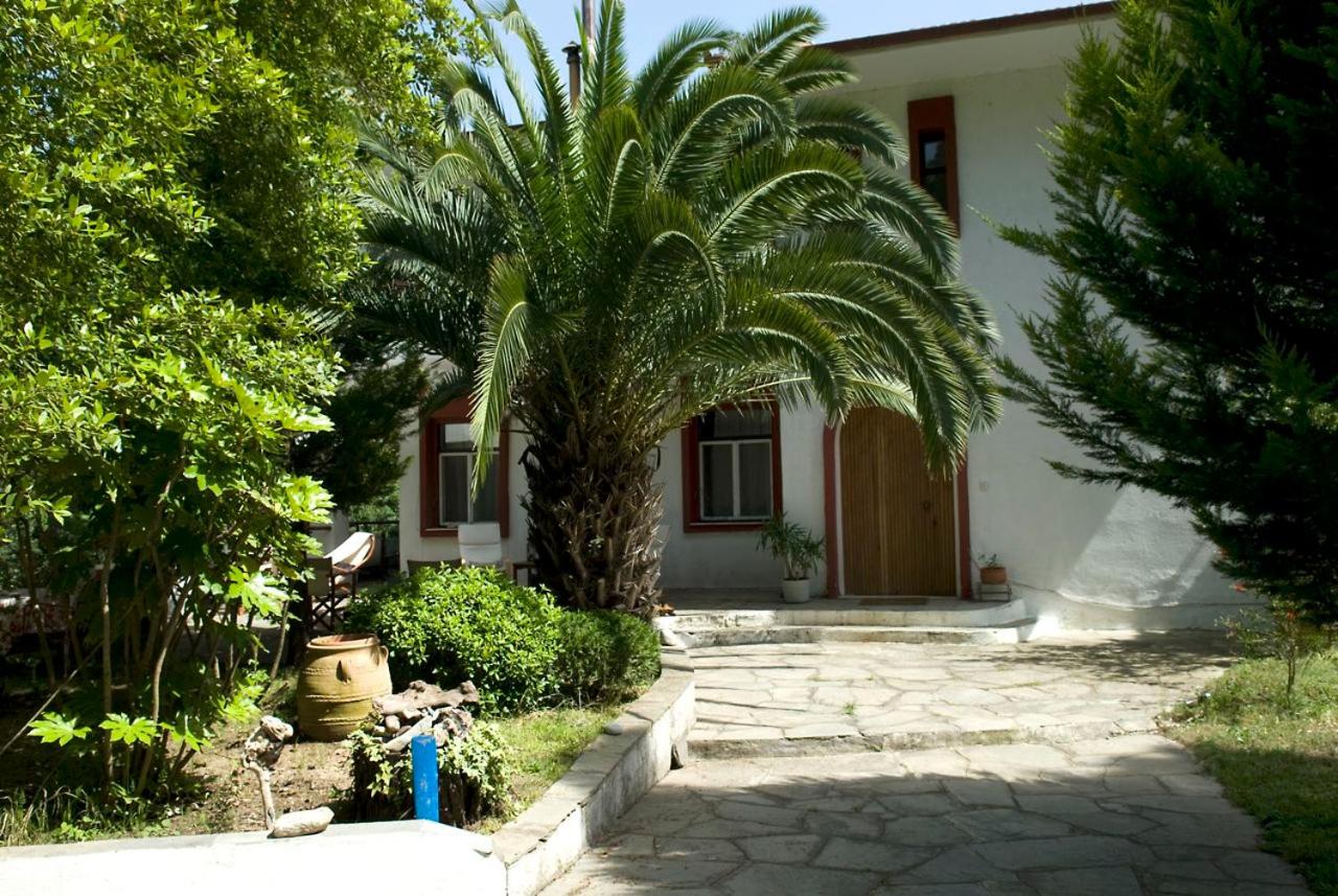 Spacious Villa close to an amazing Sithonia beach - B&B