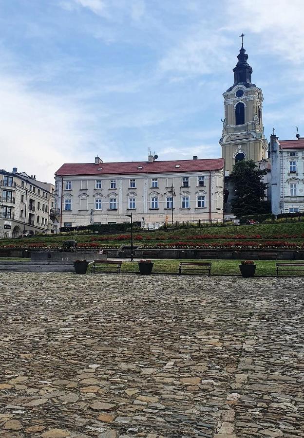 APARTAMENT GRODZKA1, 100 m2 przy przemyskim rynku z widokiem na rynek i panoramę miasta - Bed and Breakfast