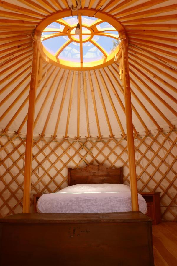 Tent Yurt