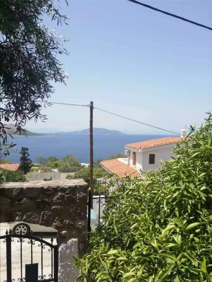 B&B Aiginitissa - Αίγινα εξοχική κατοικία - Bed and Breakfast Aiginitissa