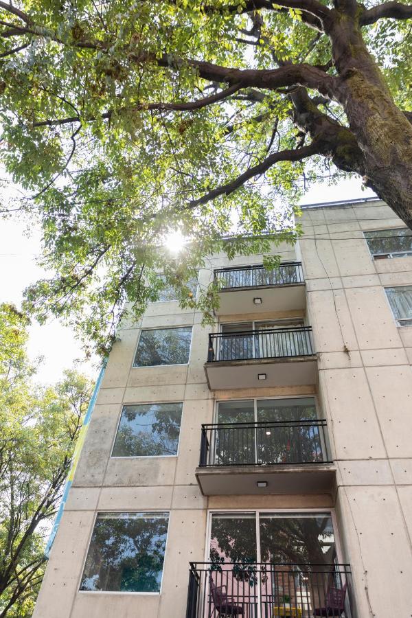 Premium Apartment, Balcony, Ground level