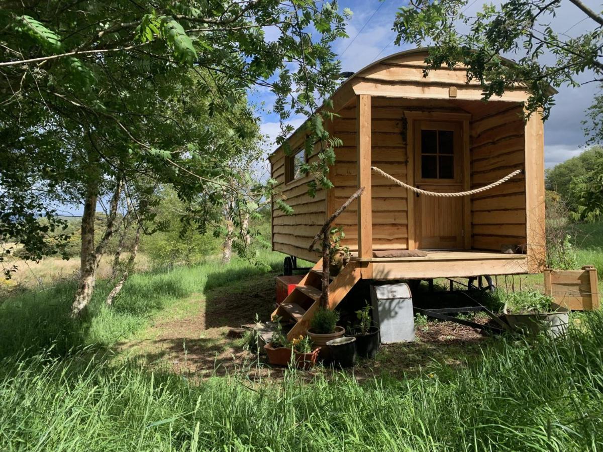 Birkenshaw - Beautiful Shepherd’s Hut in the Highlands. - B&B