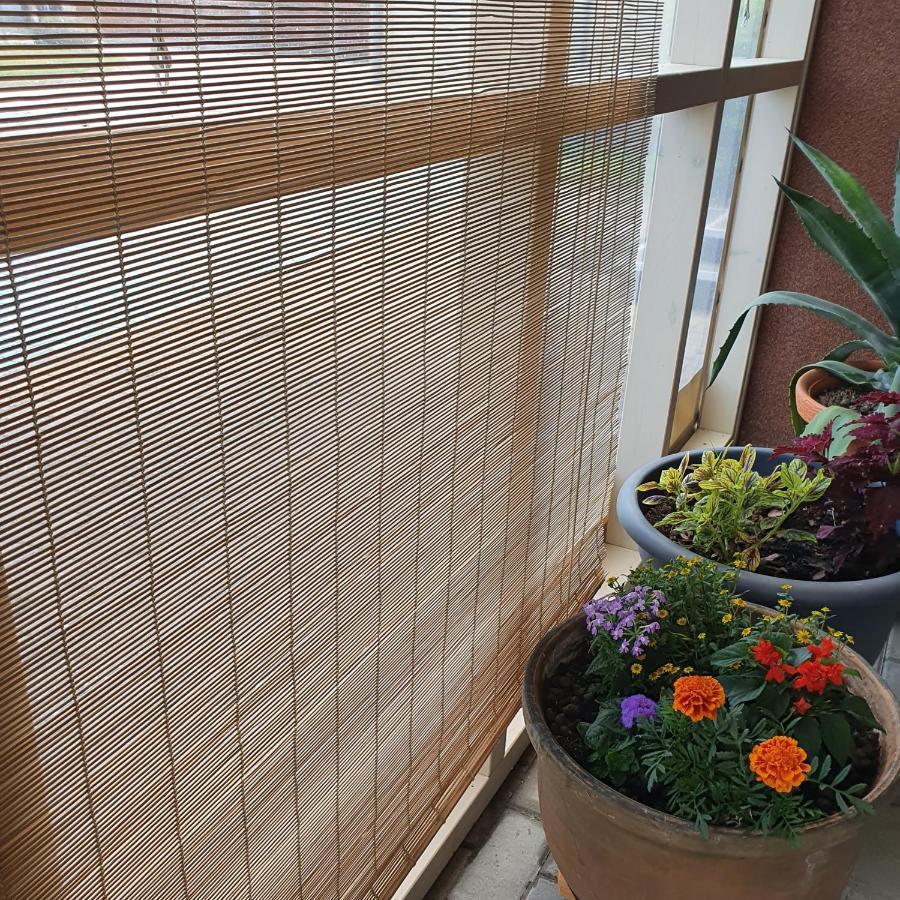 Deluxe Double Studio