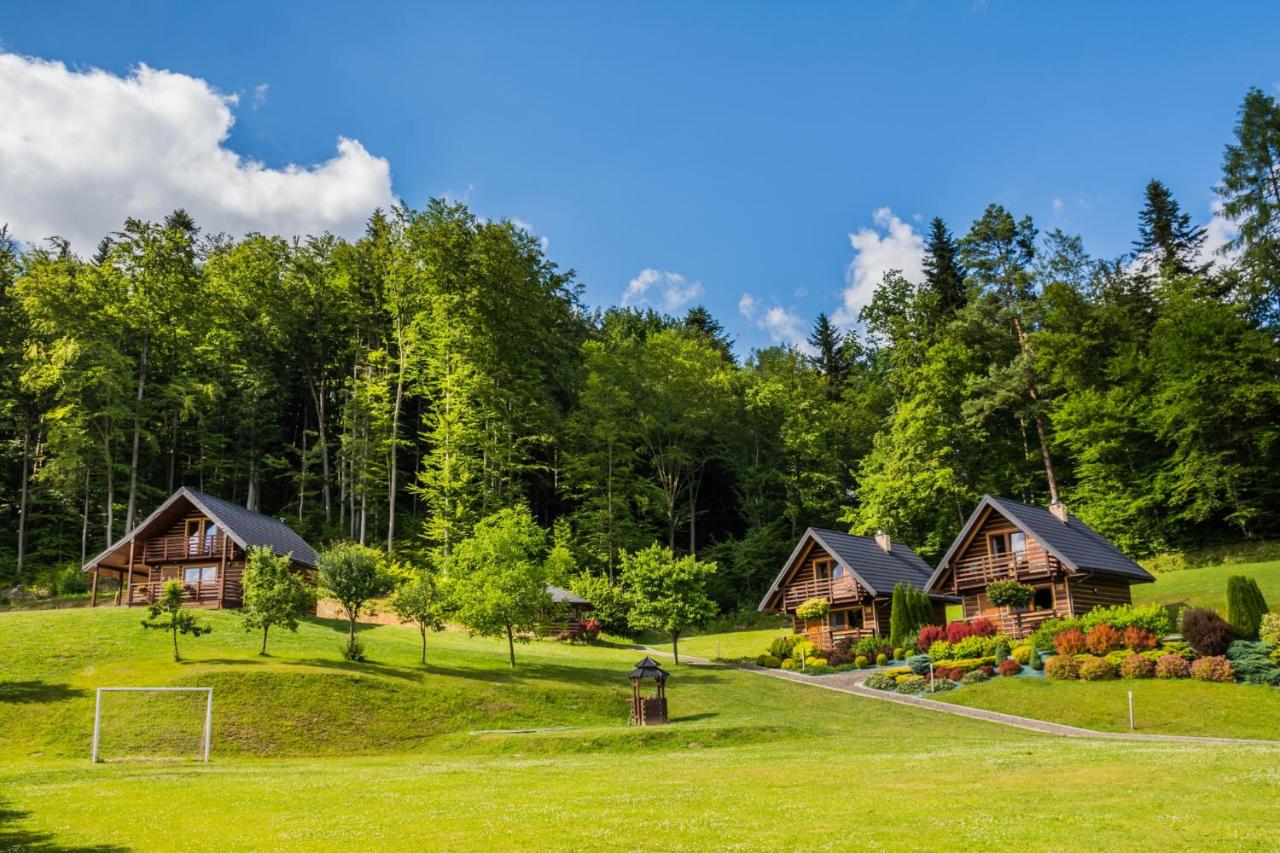 B&B Bezmiechowa Dolna - Leśny Zakątek - Bed and Breakfast Bezmiechowa Dolna