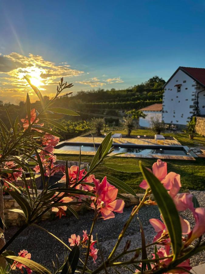 Škerlj Wine Estate - Ferienwohnung Tomaj