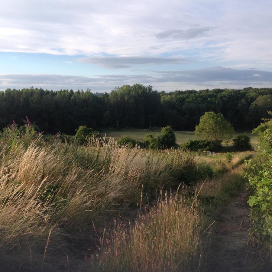 The Old Smithy - B&B Denton