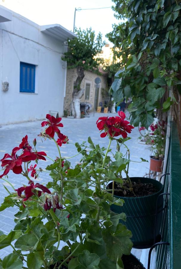 Olympios Apartment at Myrtos 1 minute from the beach - B&B