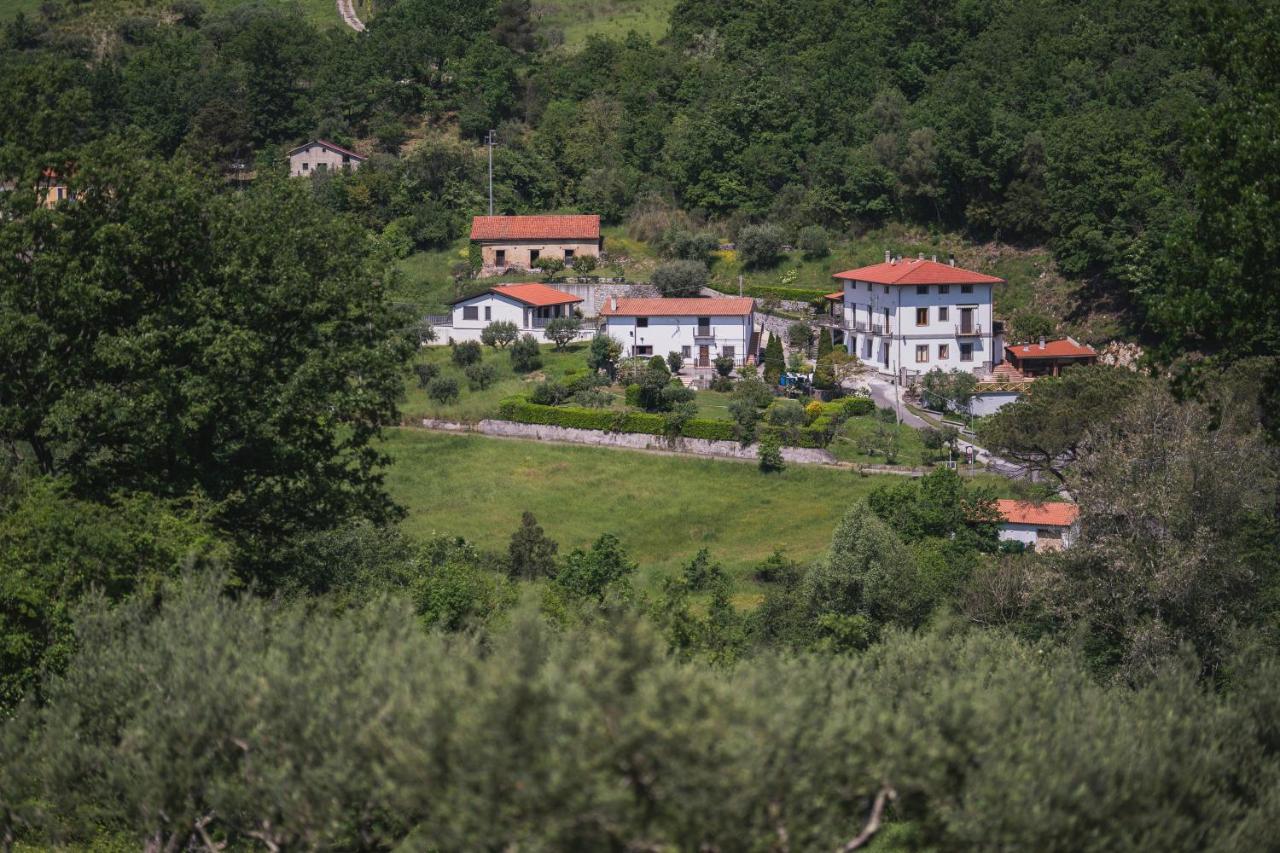 Agriturismo La Valle degli Ulivi - Chambres d’hôtes