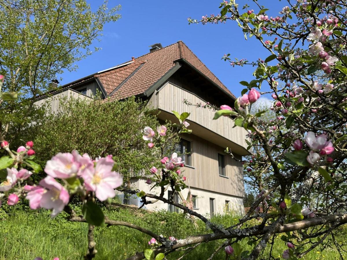 B&B Baiersbronn - Gruppenhaus Baiersbronn Lug ins Tal - Bed and Breakfast Baiersbronn