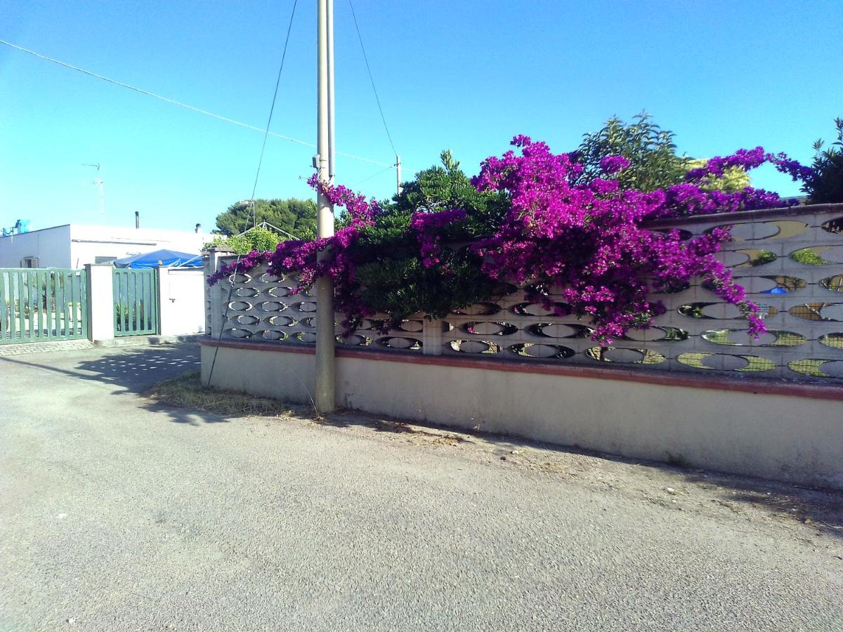 Villetta dei mille colori con ampio giardino - B&B San Foca