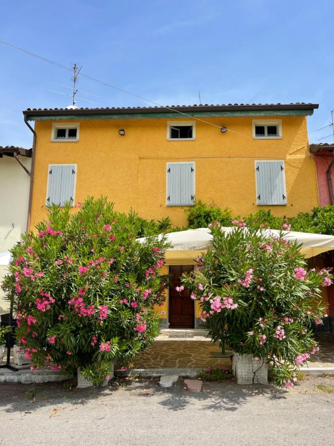 La casa tra i vigneti - B&B