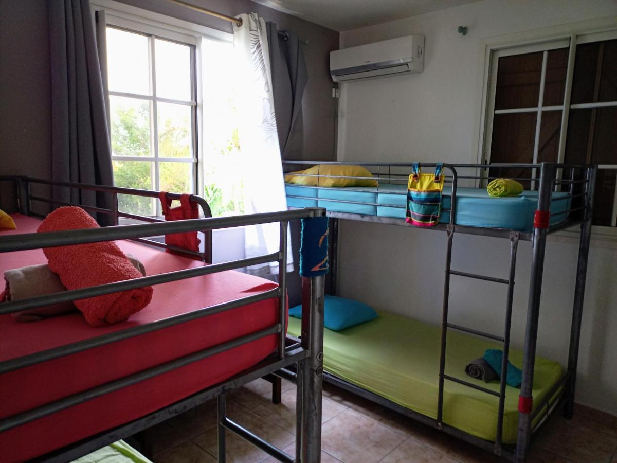 Bunk Bed in Mixed Dormitory Room