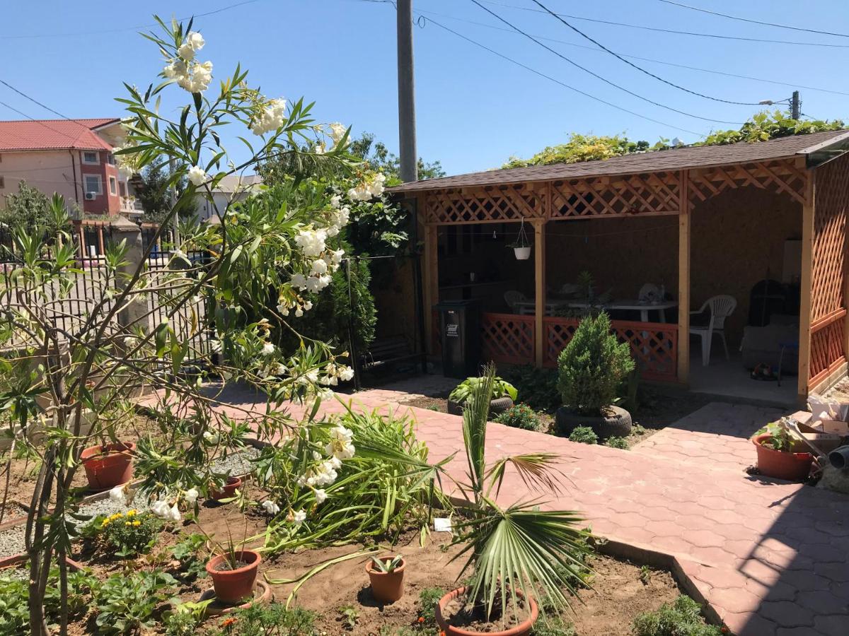Casa Vio parter - B&B