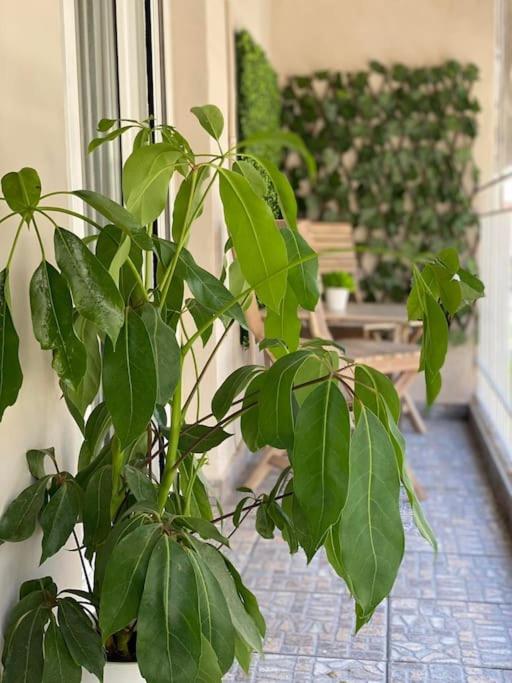 Central Garden Boutique - B&B Thessaloniki