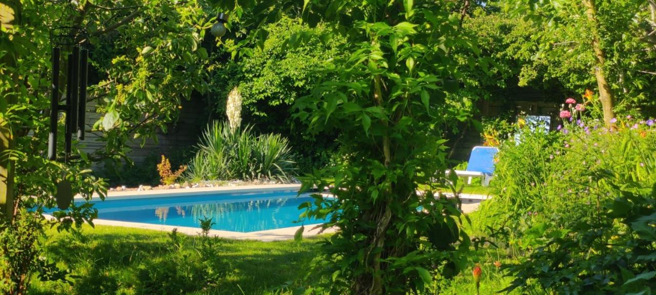 B&B Tilburg - Ecolodge prachtige tuin sauna, jacuzzi en warm zwembad - Bed and Breakfast Tilburg