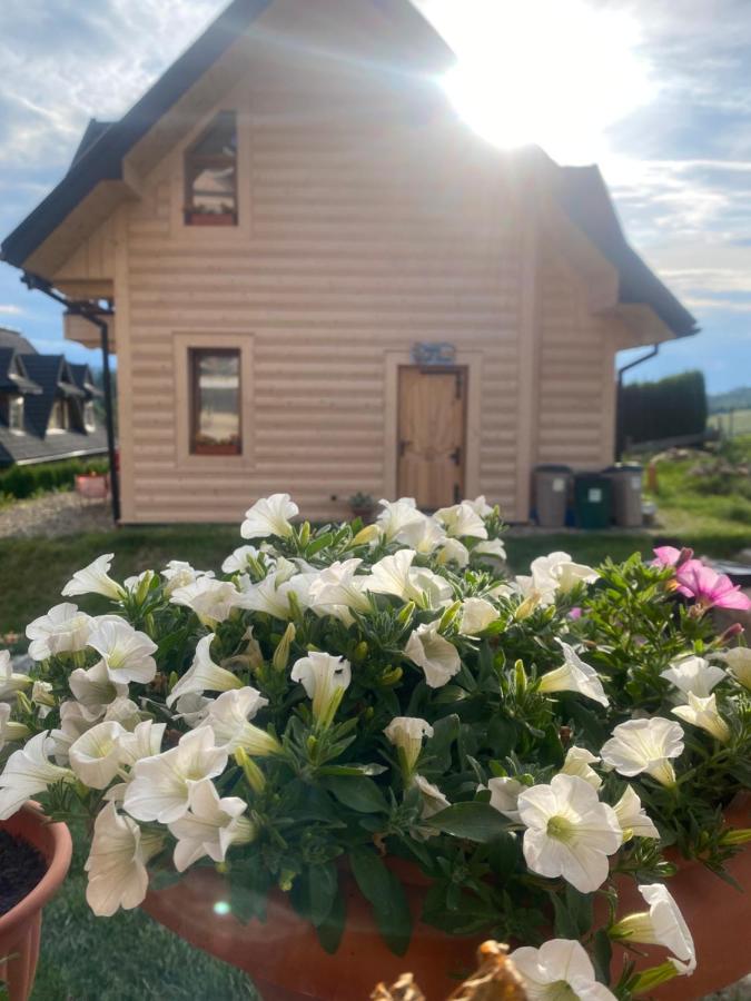 Dziejba Leśna Apartamenty &Spa - piękne i nowe apartamenty i domek, sauna i jacuzzi - W CENIE I NA WYLACZNOŚĆ, 1 km od stoku - Bed and Breakfast Jaworki