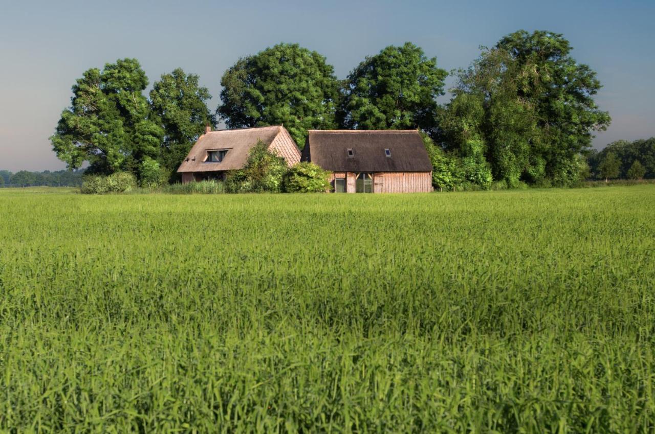Wilmsboo - Bed and Breakfast Nieuw-Schoonebeek