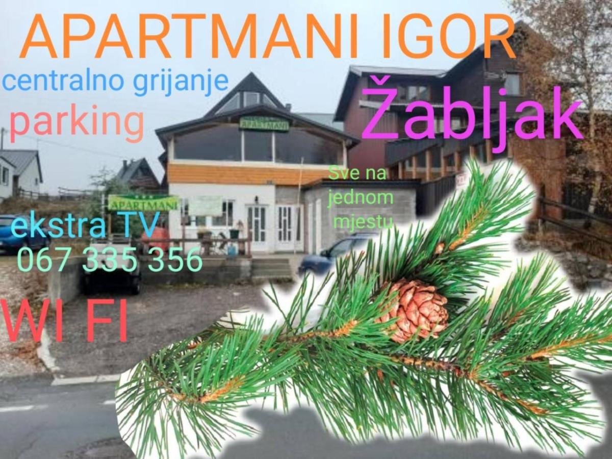 Apartments Igor - B&B