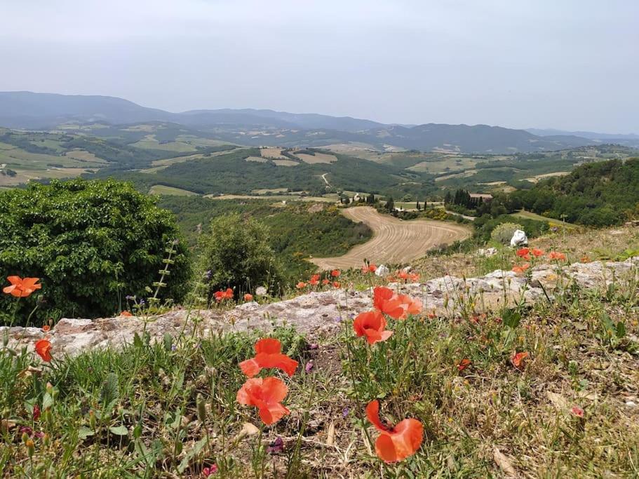 Casa Contadina in borgo medievale, Tuscany - B&B Monteguidi