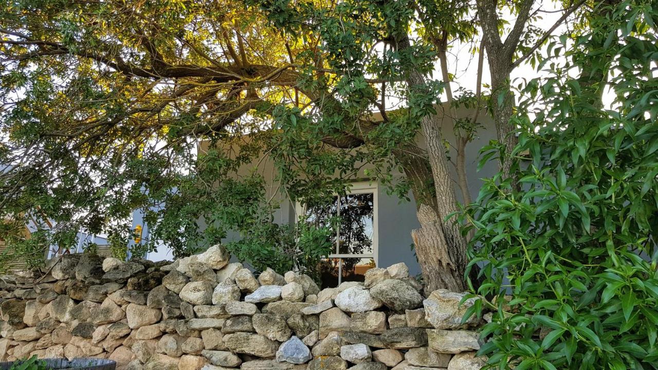 Buchu & Num-num - B&B Stanford