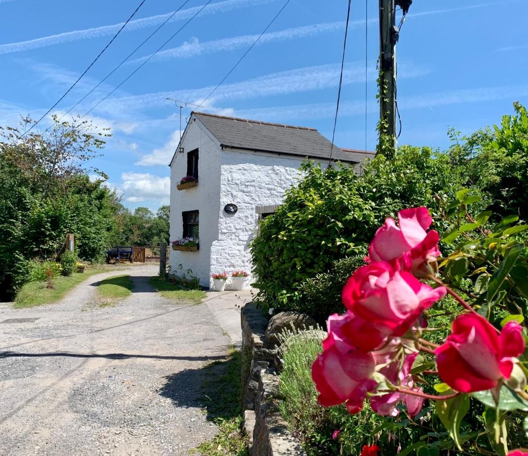 Old Nursery - B&B