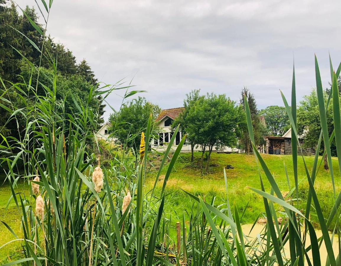 Altja Villa-Cottage with sauna - B&B