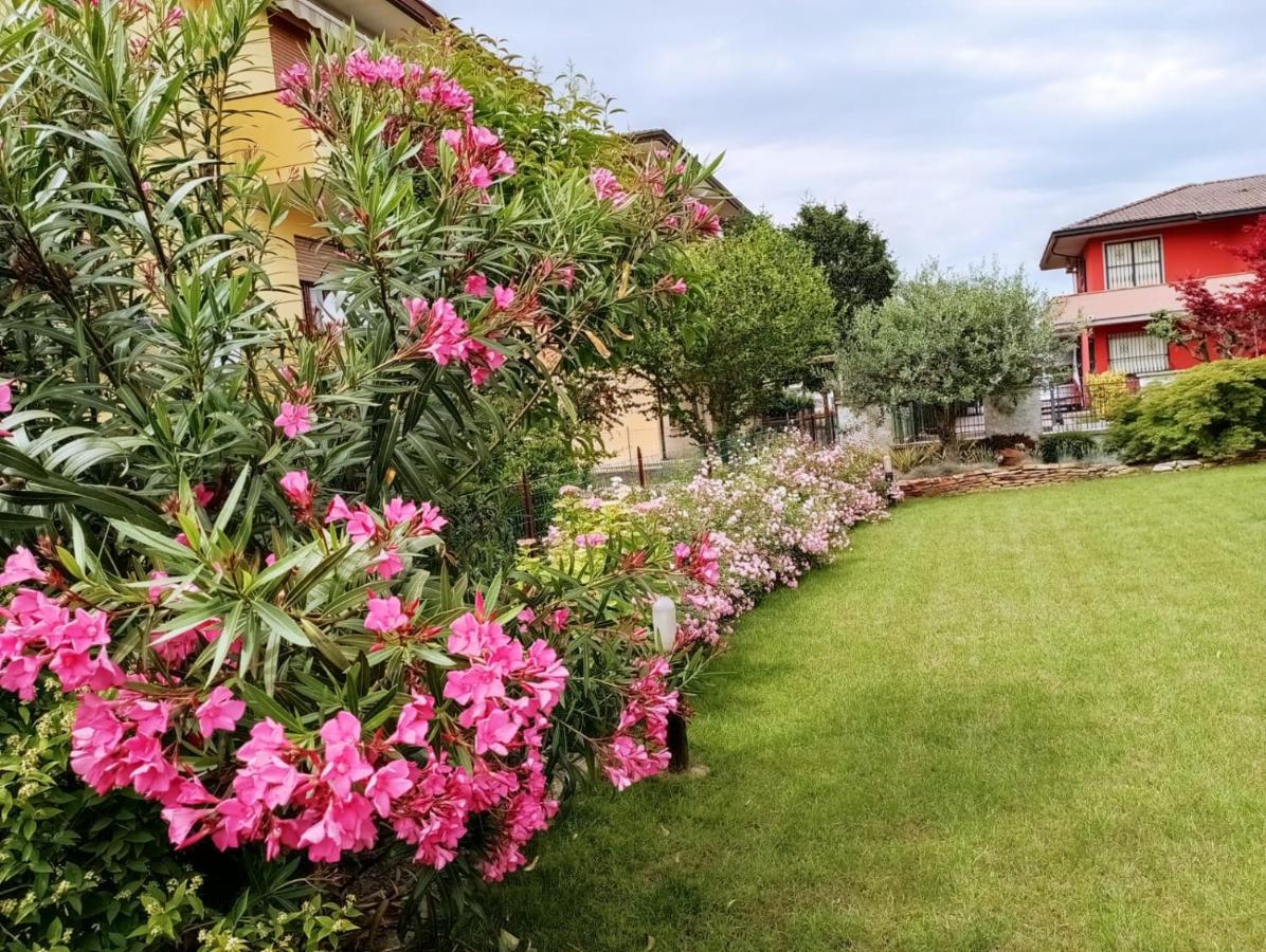 Al Casale B&B - Ferienwohnung Casalserugo