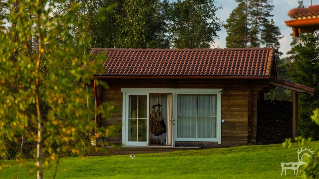 Viesu mājas Briedīši - B&B