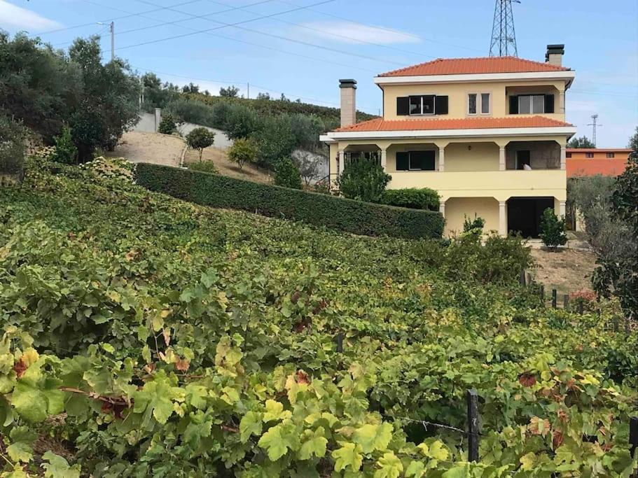 Casa dos Copins - B&B
