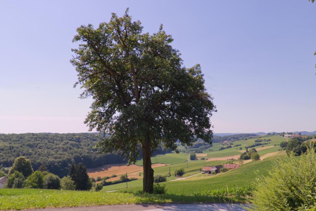 Raus aufs Land - Ferienwohnung Ederberg