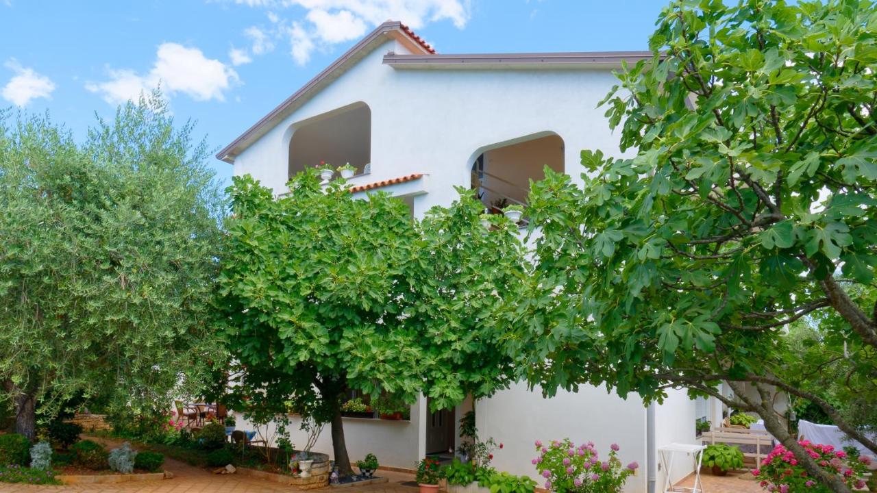 Apartments Susie by Rent Istria - B&B